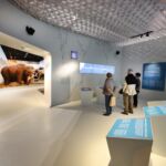Galerie de l'Aurignacien - Grotte Chauvet 2 Ardèche