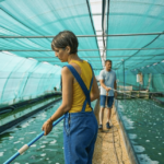 Céline et Sébastien Dalonis au Bassin de Spiruline