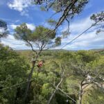 Accroche aventure - cordes aux cîmes des arbres