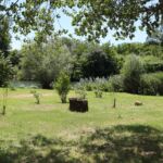 Emplacements du camping