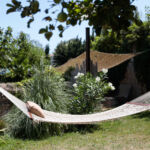 Espace détente avec hamac