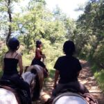 Terre à Cheval, balade en forêt