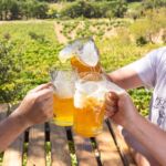 Dégustation de bières