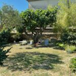 Jardin commune avec espace cosy