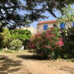 Jardin avec vue sur la maison