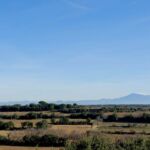 Très belle vue sur le vignoble et le Mont-Ventoux