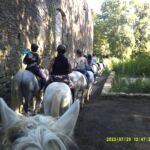 Randonnée équestre en bord de Cèze