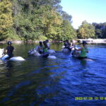 Traversée de la rivière
