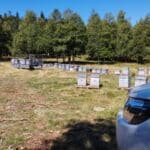 Champs avec les ruches