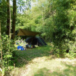 Emplacement avec tente du camping