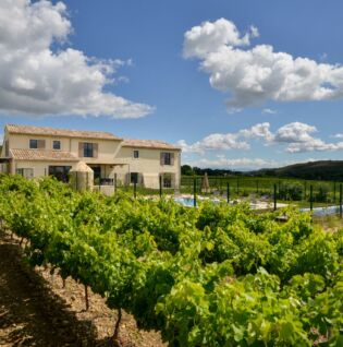 Vue générale de la maison entourée de vignes
