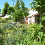 Jardin arboré avec vue sur la bâtisse