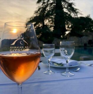 Verre de vin du domaine avec vue sur la nature environnante