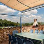 Grande terrasse ombragée avec table, chaises et barbecue