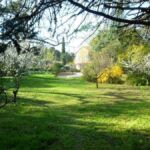 Grand jardin arboré