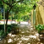 Terrasse ombragée commune