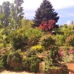 Parc arboré