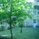 Entrée indépendante du gîte avec jardin