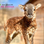 Parc animalier de Lussas