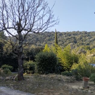 Vue sur les bois