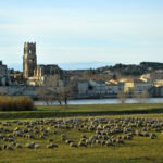 Pont Saint Esprit