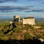 Fête médiévale Château de Gicon