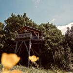 Cabane