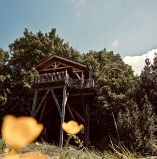 Cabane
