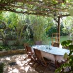Terrasse privative ombragée