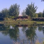 Vue générale de la pisciculture et du chalet en arrière plan
