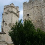 Donjon de Saint Laurent des Arbres