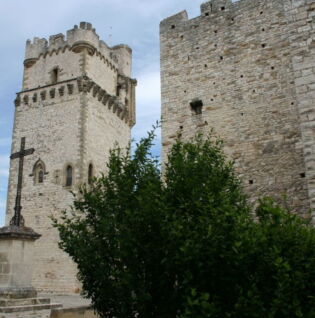 Donjon de Saint Laurent des Arbres