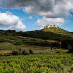 Château de Gicon - vue d'ensemble