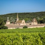 La Chartreuse de Valbonne