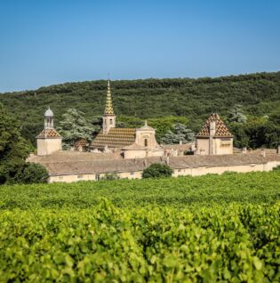 La Chartreuse de Valbonne