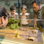 maquette