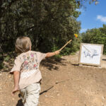 atelier chasse