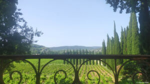 Vue depuis la terrasse du pigeonnier