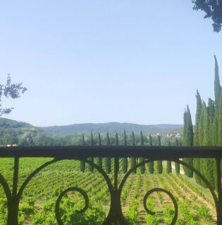 Vue depuis la terrasse du pigeonnier