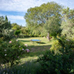 Table de ping pong et parc