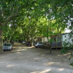 Allée du camping
