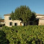 Mas dans les vignes