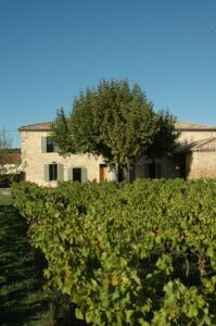 Mas dans les vignes