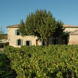 Mas dans les vignes