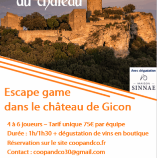 Escape Game « Les secrets du Château » au Château de Gicon