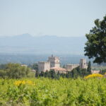 Village d'ensemble du village de St Laurent des Arbres au coeur des vignes