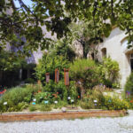 plantes utilitaires et hôtel à insectes