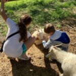 Enfants avec des chèvres à Green Park