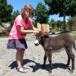 Parc animalier à Lussas
