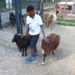 Parc animalier à Lussas